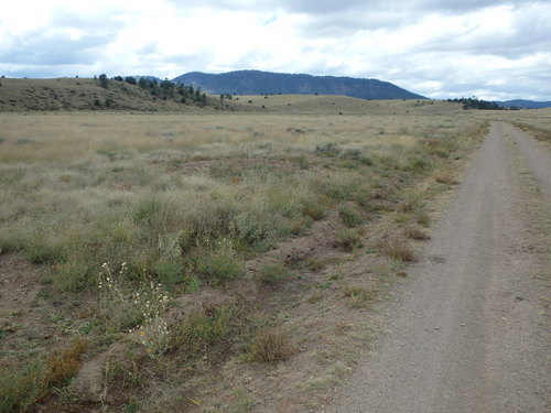 GDMBR: We can see the forest of the Gila National Forest.